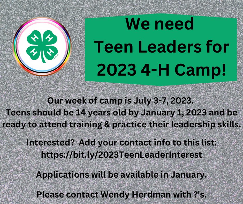 Teen Leader info flyer