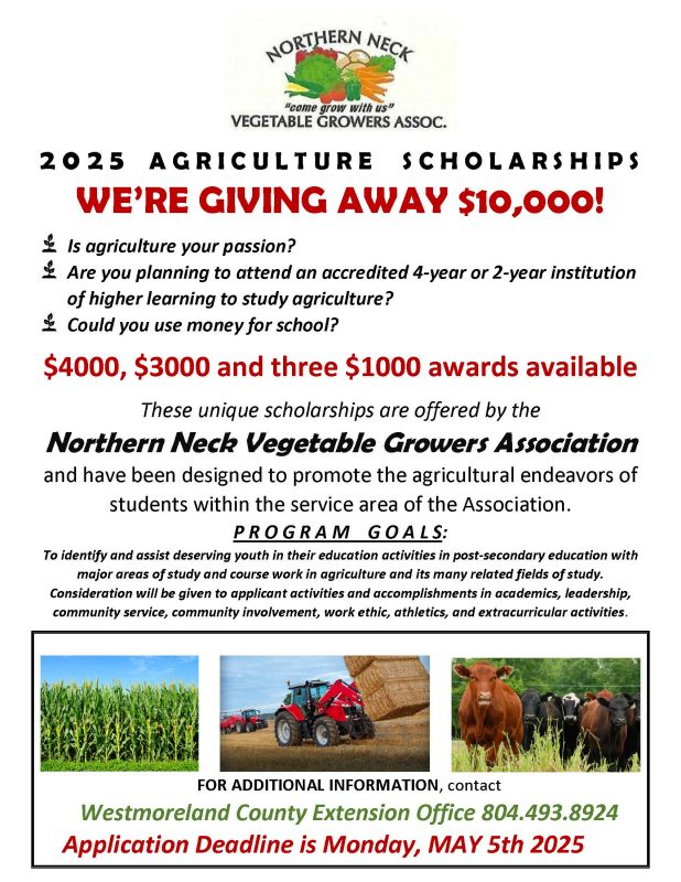 nnvga flyer