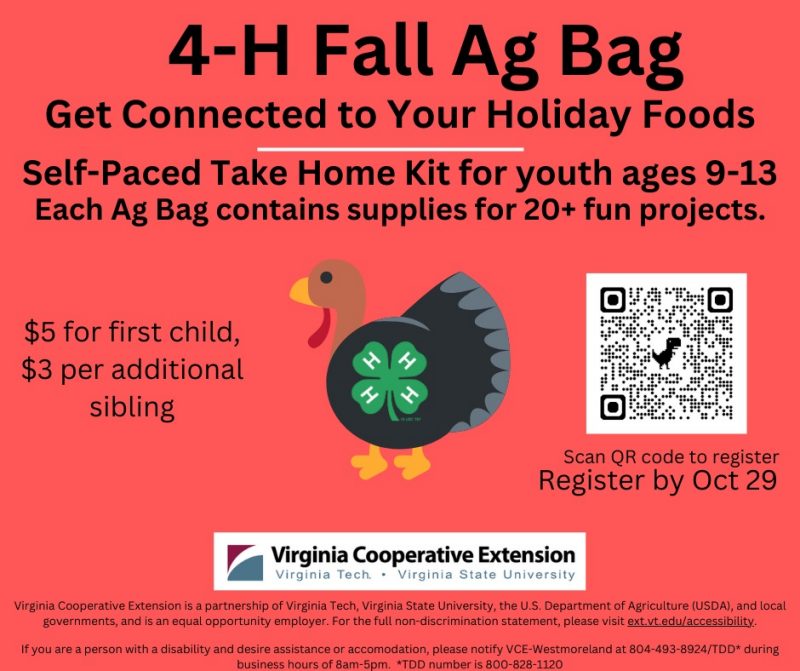 FAB flyer