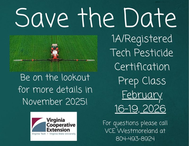 1a save the date flyer